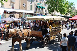 Foire_chevaux_beda_2024_52.jpg