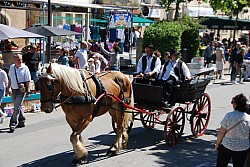Foire_chevaux_beda_2024_53.jpg