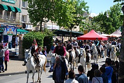 Foire_chevaux_beda_2024_54.jpg