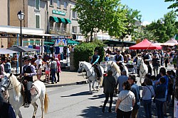 Foire_chevaux_beda_2024_55.jpg