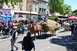 Foire_chevaux_beda_2024_57.jpg