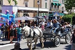 Foire_chevaux_beda_2024_59.jpg