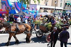 Foire_chevaux_beda_2024_63.jpg