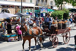 Foire_chevaux_beda_2024_64.jpg