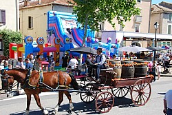 Foire_chevaux_beda_2024_65.jpg