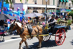 Foire_chevaux_beda_2024_66.jpg