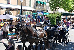 Foire_chevaux_beda_2024_67.jpg