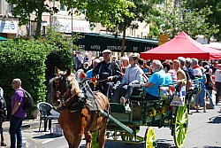 Foire_chevaux_beda_2024_68.jpg