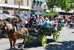 Foire_chevaux_beda_2024_69.jpg
