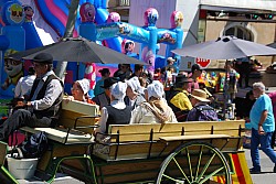 Foire_chevaux_beda_2024_71.jpg