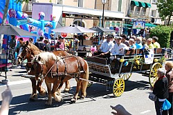 Foire_chevaux_beda_2024_72.jpg
