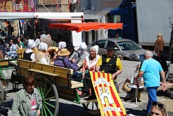 Foire_chevaux_beda_2024_73.jpg