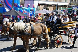 Foire_chevaux_beda_2024_74.jpg