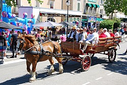 Foire_chevaux_beda_2024_75.jpg