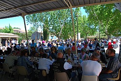 Foire_chevaux_beda_2024_89.jpg