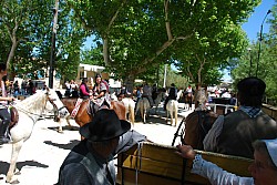 Foire_chevaux_beda_2024_92.jpg
