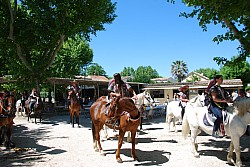 Foire_chevaux_beda_2024_93.jpg