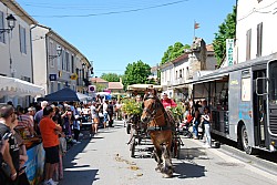 Foire_chevaux_beda_2024_95.jpg