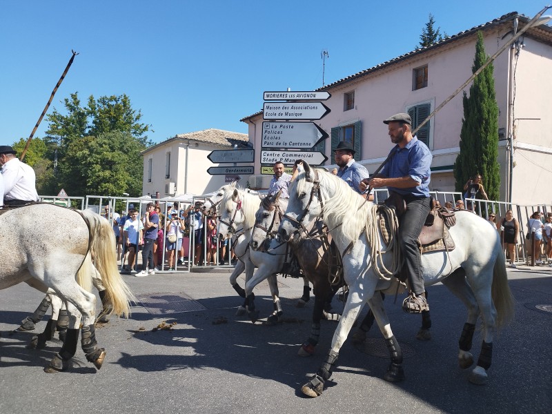 Abrivado Montfavet 2022_14.jpg