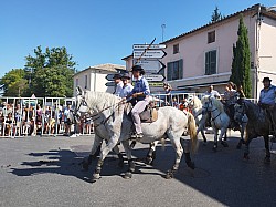 Abrivado Montfavet 2022_13.jpg