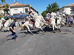 Abrivado Montfavet 2022_23.jpg