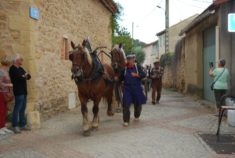 Chusclan _ 2022_87.jpg