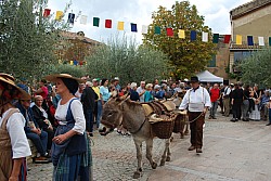 Chusclan _ 2022_56.jpg