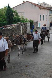 Chusclan _ 2022_61.jpg