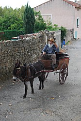 Chusclan _ 2022_62.jpg