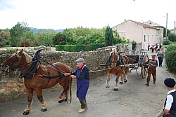 Chusclan _ 2022_64.jpg