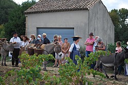 Chusclan _ 2022_79.jpg