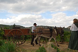 Chusclan _ 2022_82.jpg