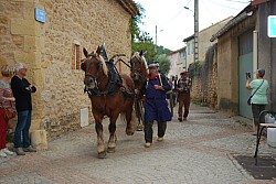Chusclan _ 2022_87.jpg