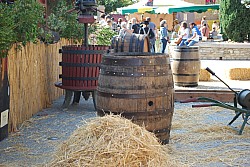Chusclan _ 2022.jpg