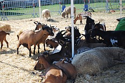 Chusclan _ 2022_10.jpg