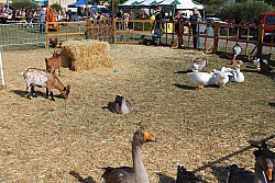 Chusclan _ 2022_12.jpg