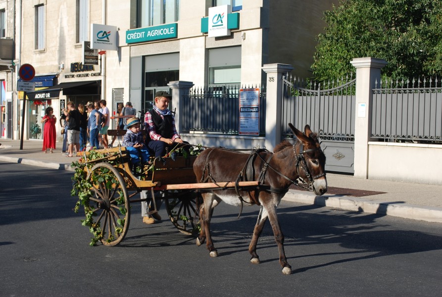 fete foins_2022_19.jpg