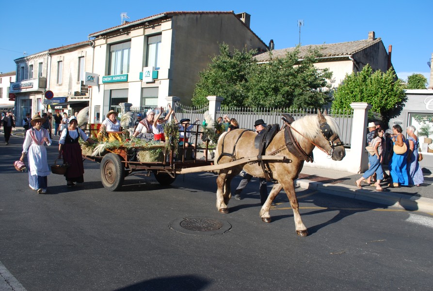 fete foins_2022_25.jpg