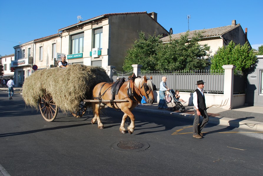 fete foins_2022_27.jpg