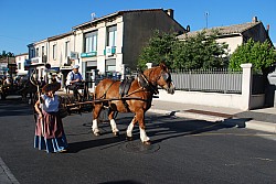 fete foins_2022_24.jpg