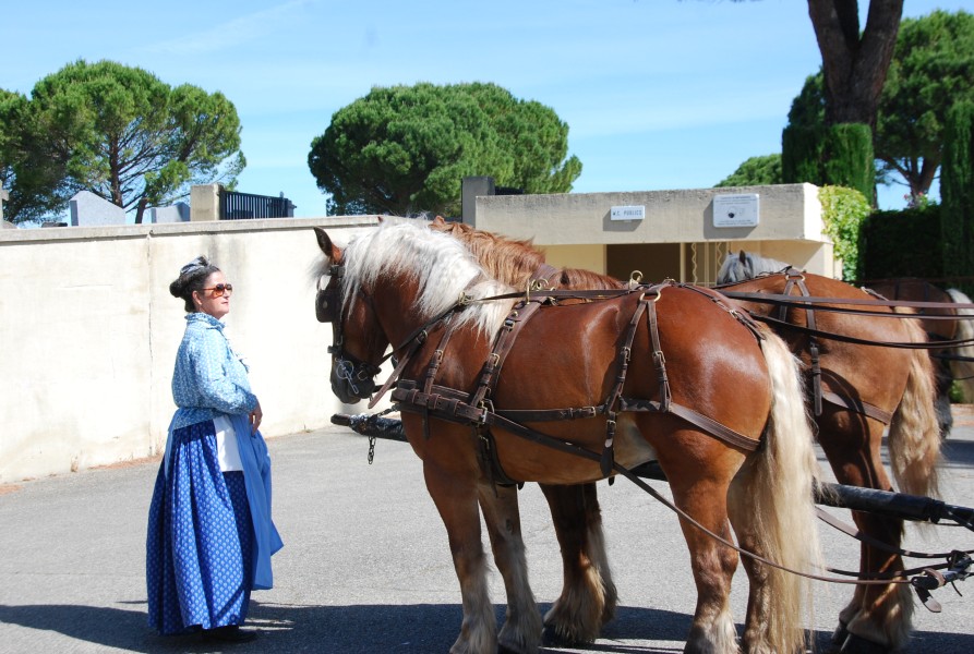 foire_chevaux_2025_06.jpg