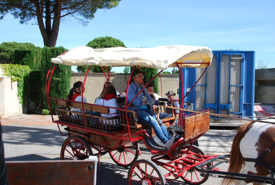 foire_chevaux_2025_13.jpg
