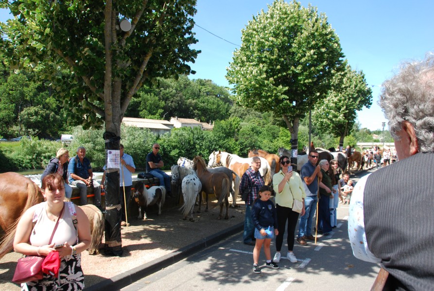 foire_chevaux_2025_22.jpg