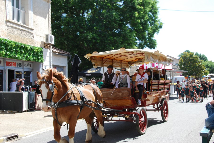 foire_chevaux_2025_34.jpg