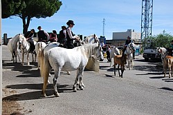 foire_chevaux_2025.jpg