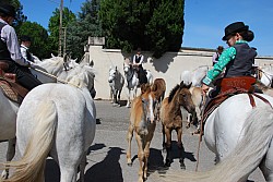 foire_chevaux_2025_05.jpg