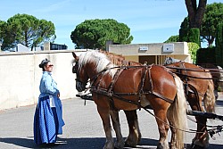 foire_chevaux_2025_06.jpg