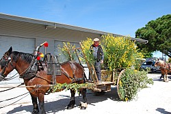 foire_chevaux_2025_09.jpg