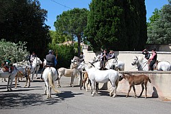 foire_chevaux_2025_12.jpg
