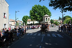 foire_chevaux_2025_20.jpg